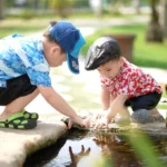 Funkcja kwadratowa: praktyczny kurs krok po kroku